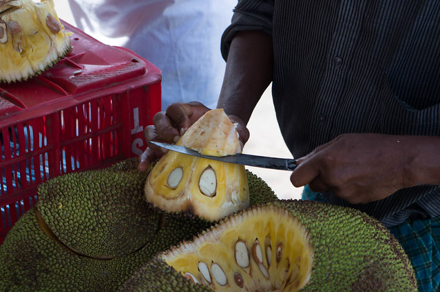 Cutting Jack Fruit