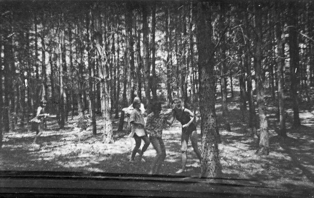 Walk through the Woods