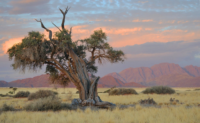 Wilderness Competition Photo Entry