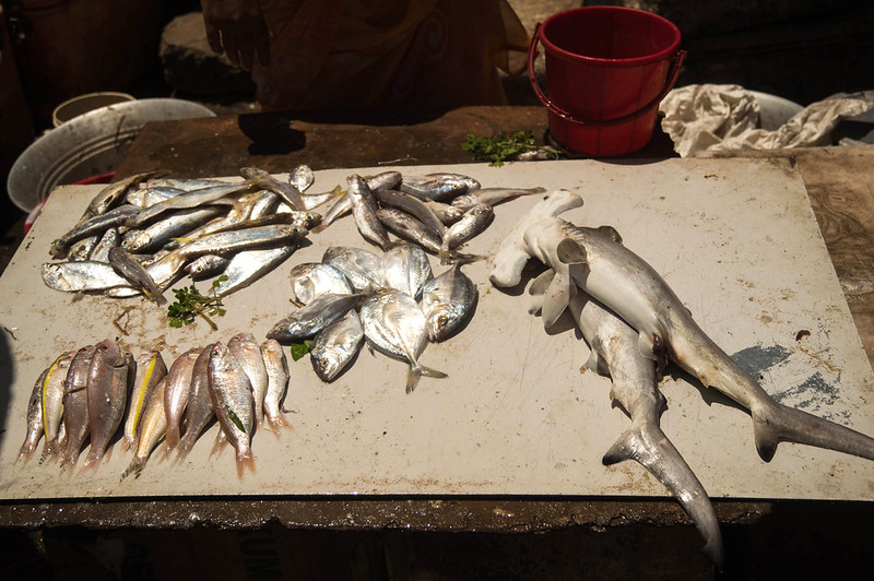 Fish Market