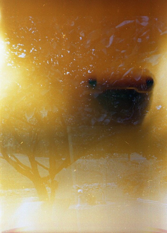 Found Film:  Shopping at Goodwill