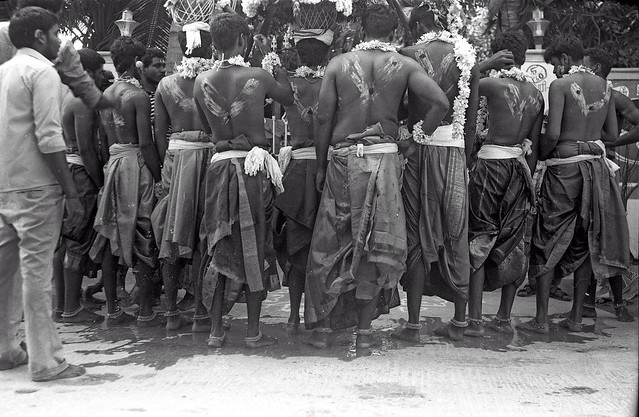 Backs of the Procession