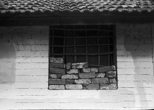 Bricks