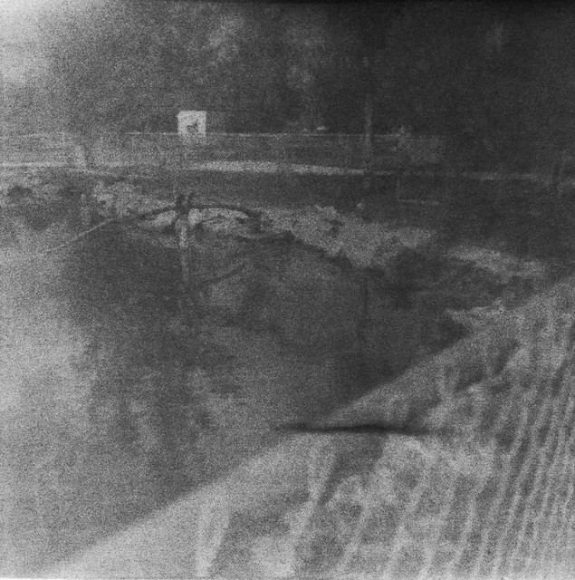 Found Film:  Kodacolor-X Trip to Florida