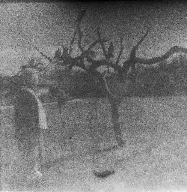 Found Film:  Kodacolor-X Trip to Florida