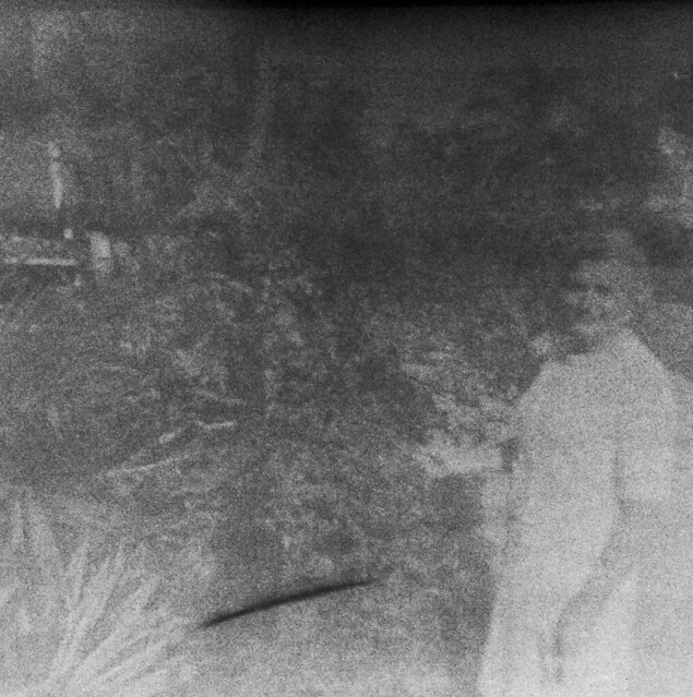 Found Film:  Kodacolor-X Trip to Florida
