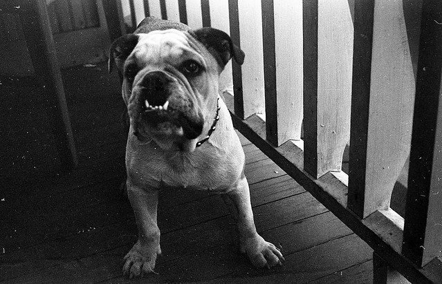 Raymond Albert's Photos - Rolls 7-8-9-10
