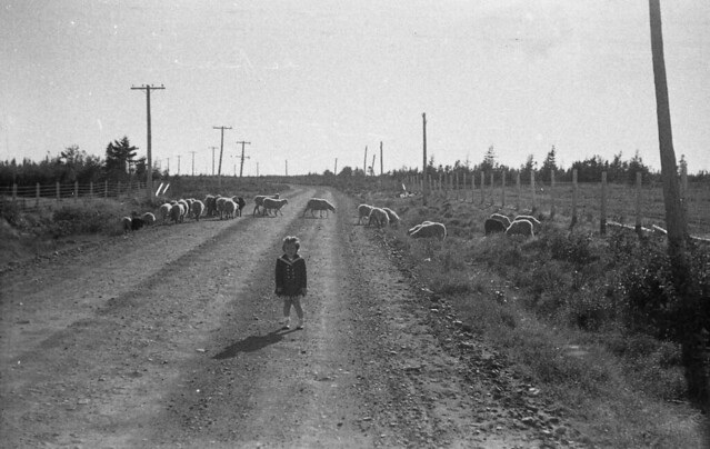 Raymond Albert's Photos - Roll 2