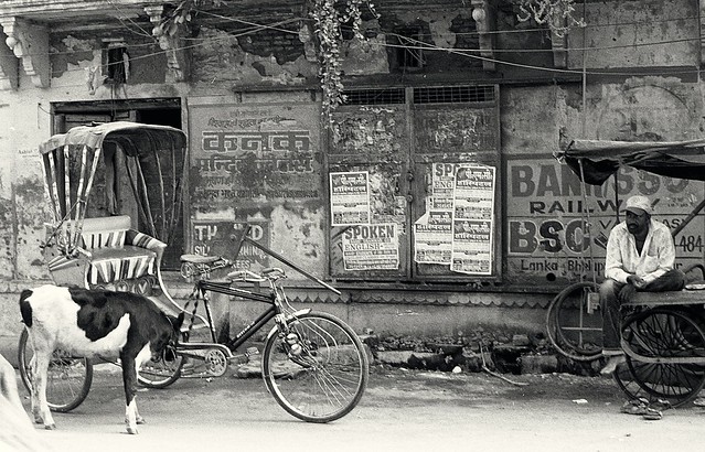 Things you see in India