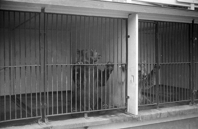 Raymond Albert's Photos - roll 15