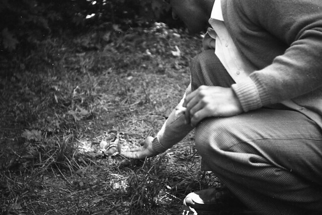 Raymond Albert's Photos - roll 19