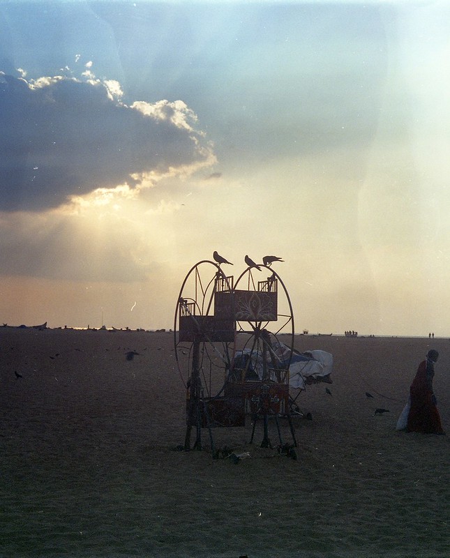 Ferris Wheel Sunbeam