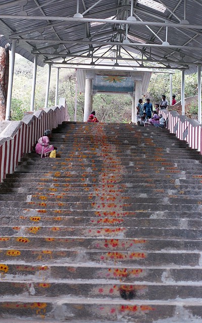 565 Steps