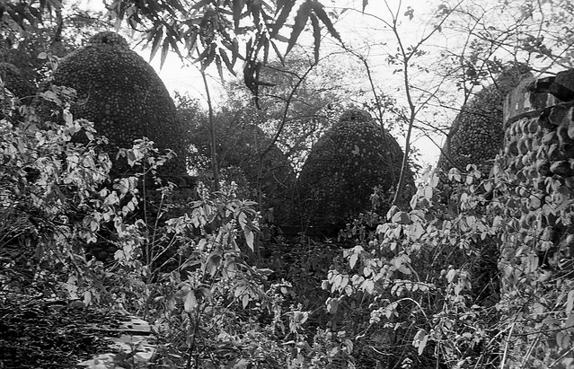 Dome Roofs