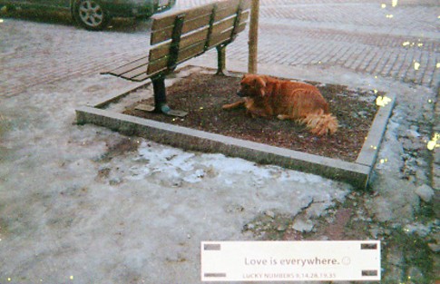 Found Film:  Fortune Camera