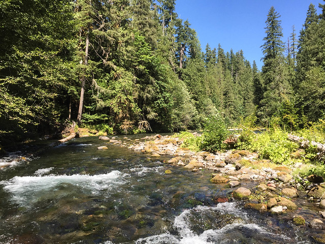 McKenzie River