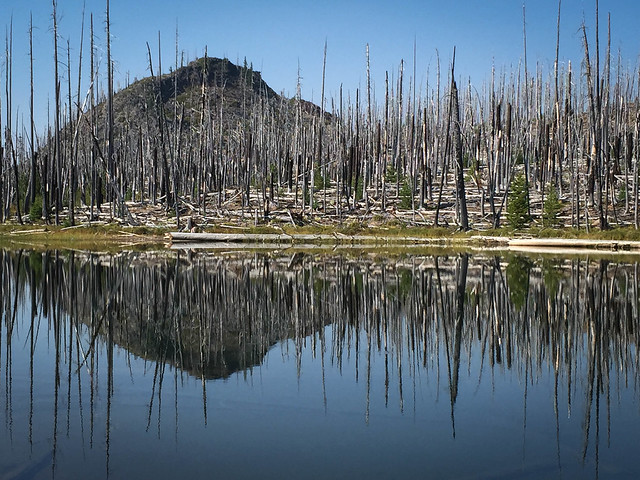 Reflecting Shore