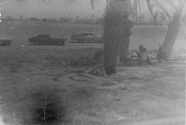 Found Film:  35mm Ektachrome