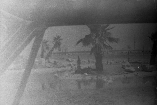 Found Film:  35mm Ektachrome