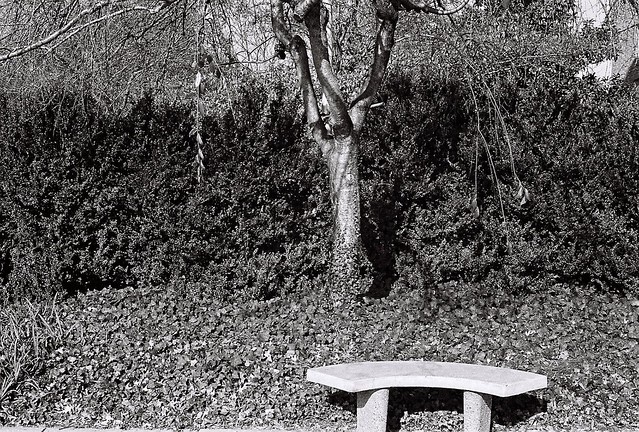Stone Bench