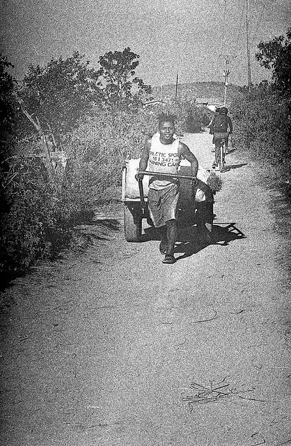 Cart Puller