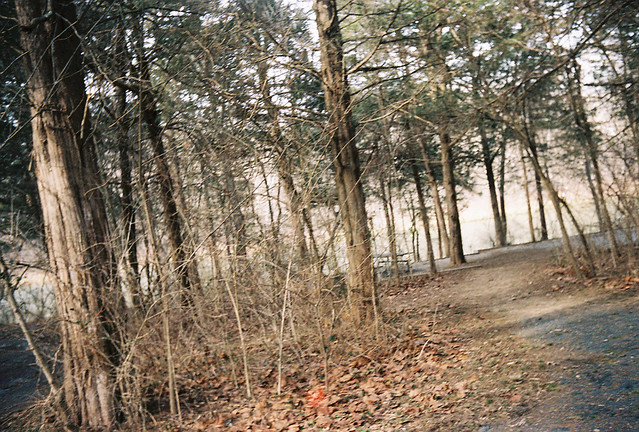 Roosevelt Island