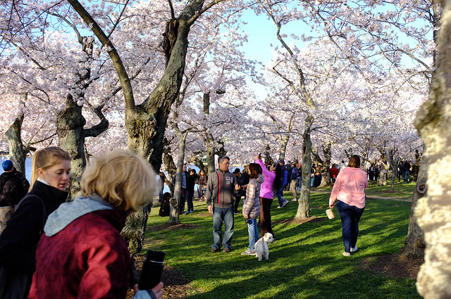 Spring Tourists