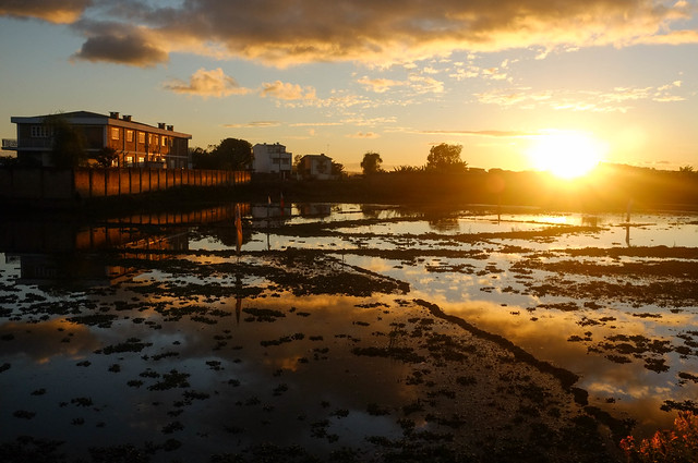 Rice Paddy Sunset