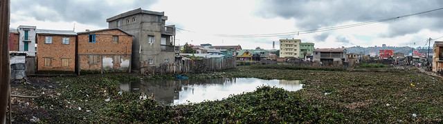 Pond Panoramic
