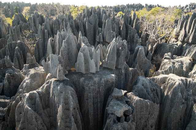 Tsingy Rock Formations