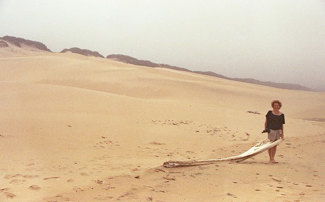 Whale Bone