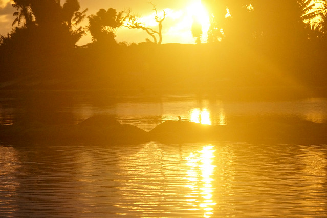 Sunrise