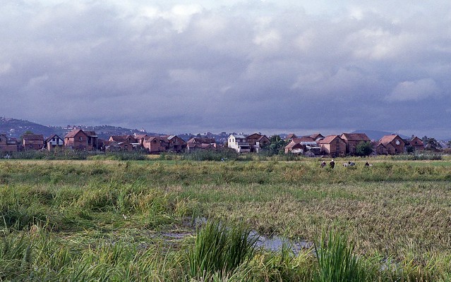Village in the Middle of the City