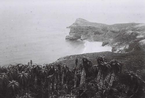 Cape of Good Hope 3