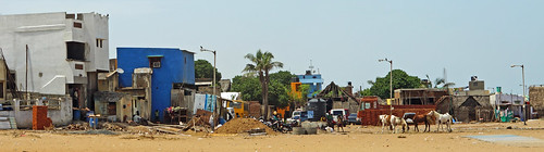 Beach Houses
