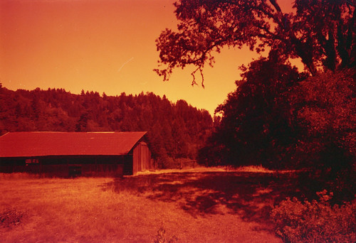 Barn