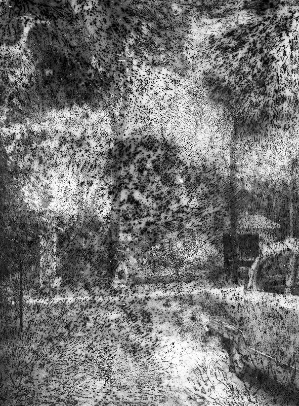 Found Film: Tri-X Pan with Fungus