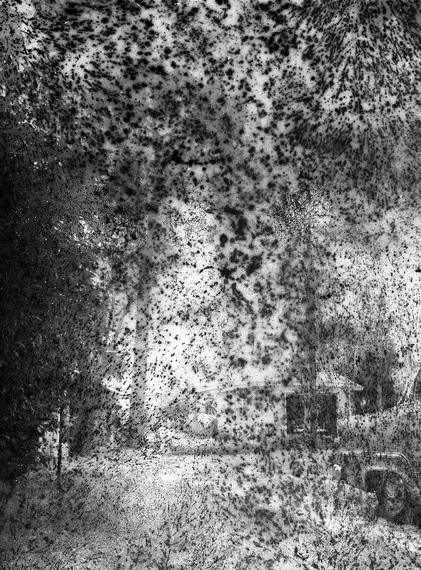 Found Film: Tri-X Pan with Fungus
