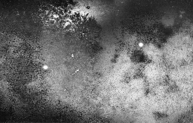 Found Film: Tri-X Pan with Fungus