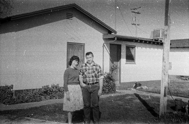 Found Film - Horse Farm