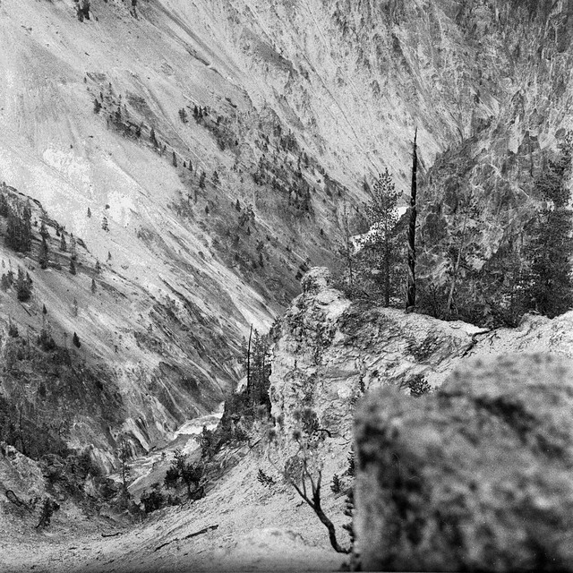 Found Film: Yellowstone Roll 1