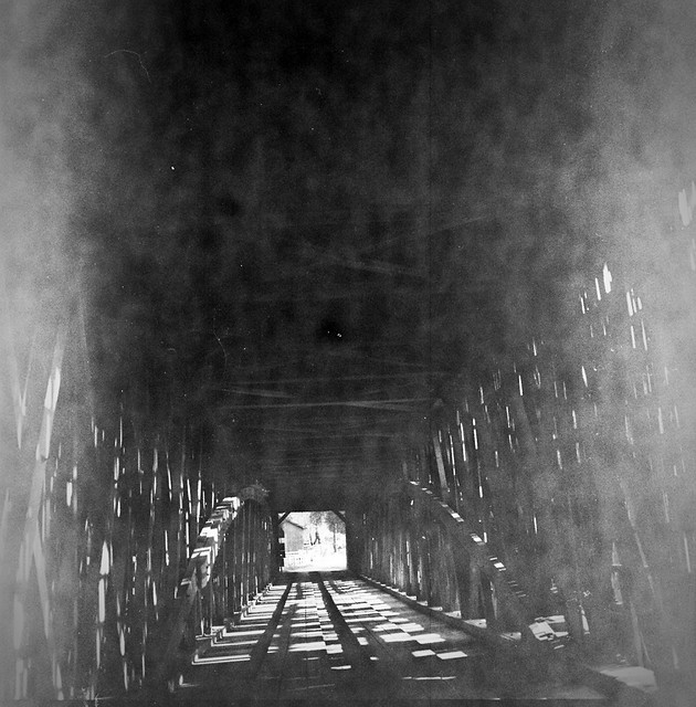 Found Film:  Yellowstone National Park