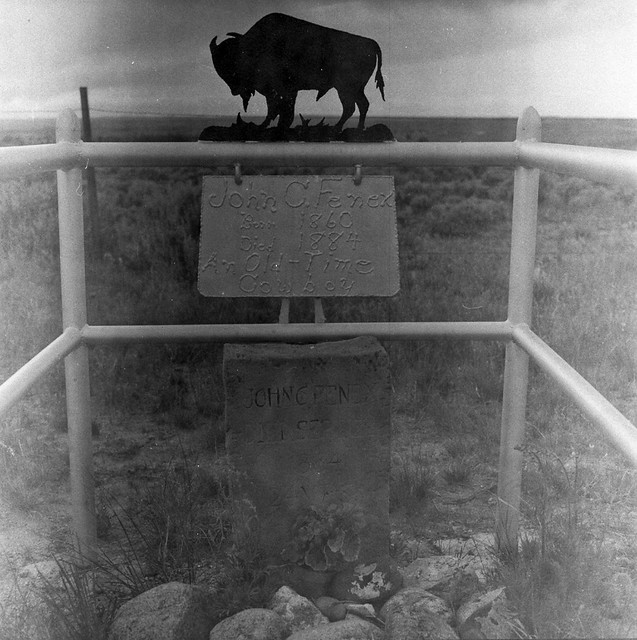Found Film:  Yellowstone National Park