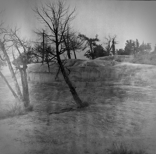 Found Film: Yellowstone National Park