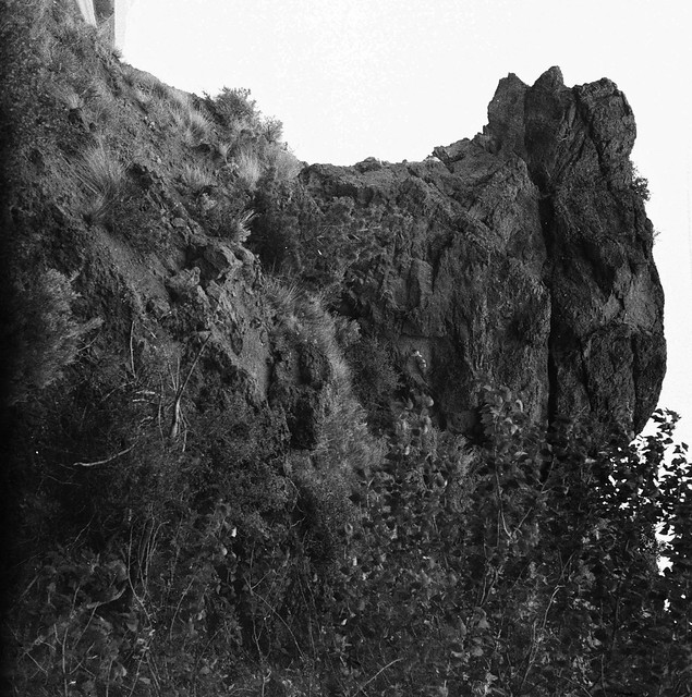 Found Film: Yellowstone Roll 1