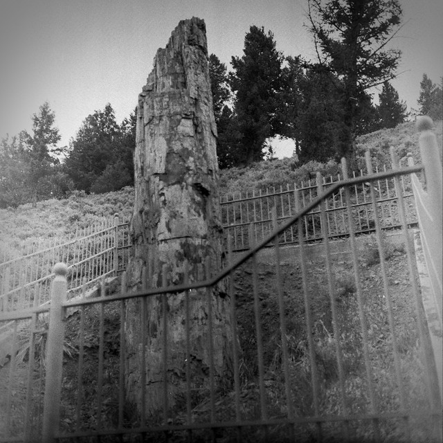 Found Film: Yellowstone National Park