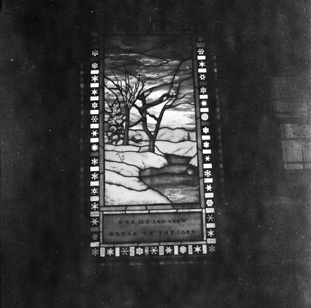 Found Film: Yellowstone National Park