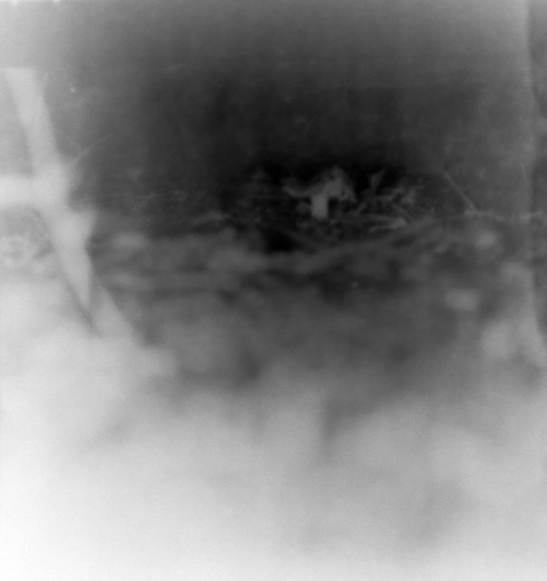Found Film: Yellowstone Trip Extras