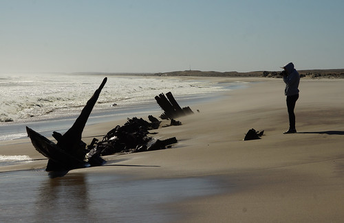 Skeletons in the Coast